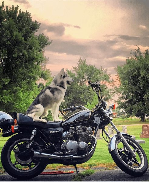 "Time to ride." (Photo: @itstravels) best road trip