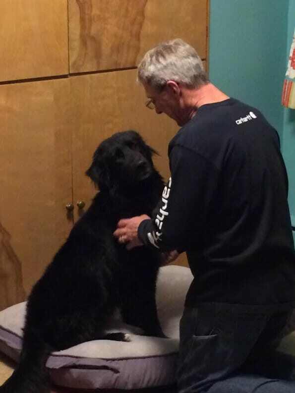How one rescue dog found his way home with Roadie. When a family wanted to adopt a dog, they fell in love with Alex.