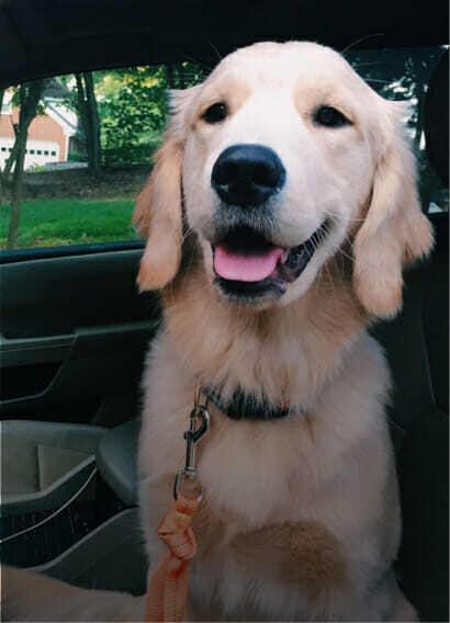 cooper