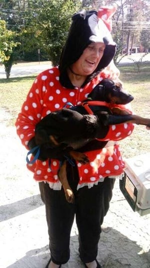 dog delivery service roadie